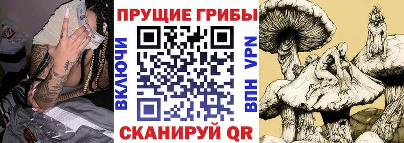 Псилоцибиновые грибы мухоморы  мориарти клад  Кудрово 