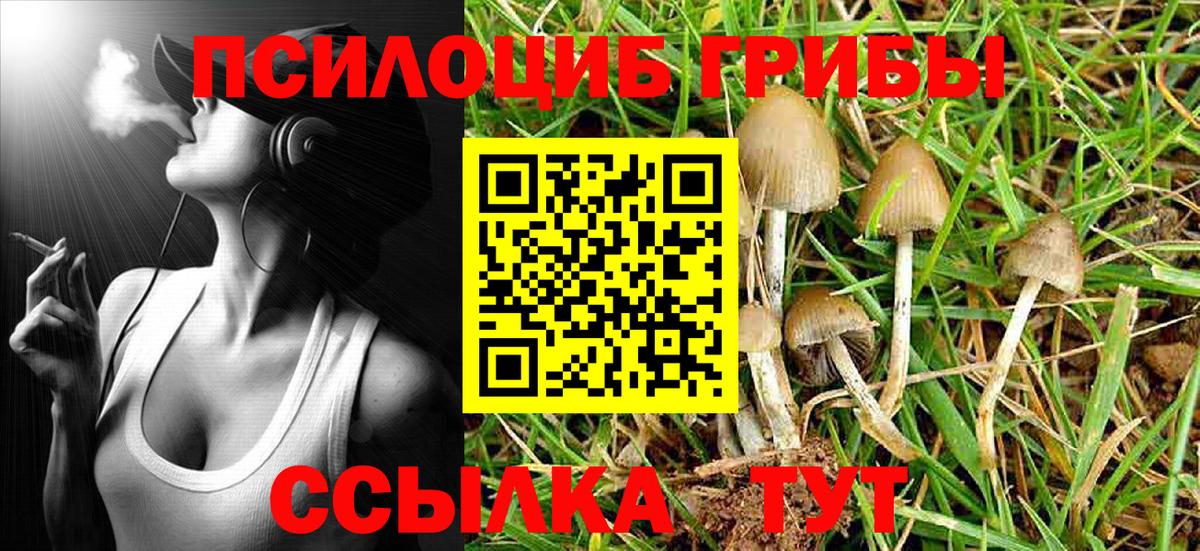 Псилоцибиновые грибы Cubensis Кудрово
